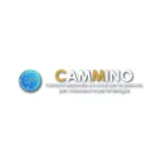 logo cammino-100