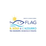 logo flag il sole e l'azzurro-100_3_11zon